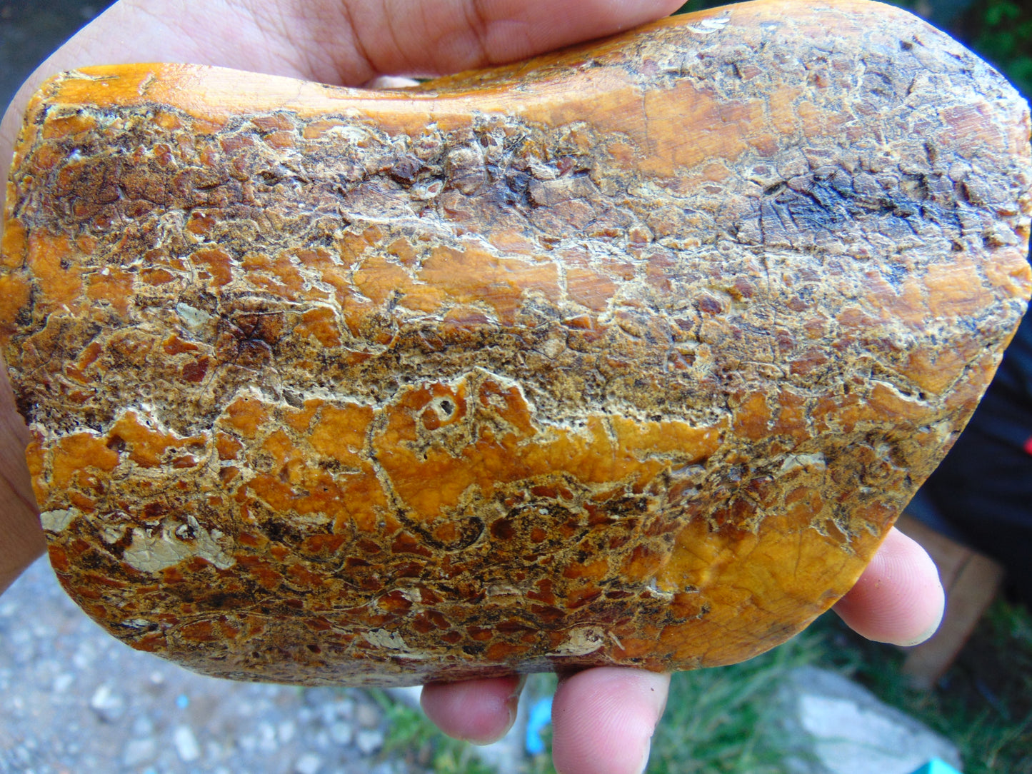 361 gram Polished Indonesia Yellow Aromatic Amber for Healing 26AYE39
