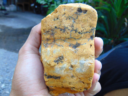 219 gram Polished Indonesia Yellow Aromatic Amber for Healing 26AYE45