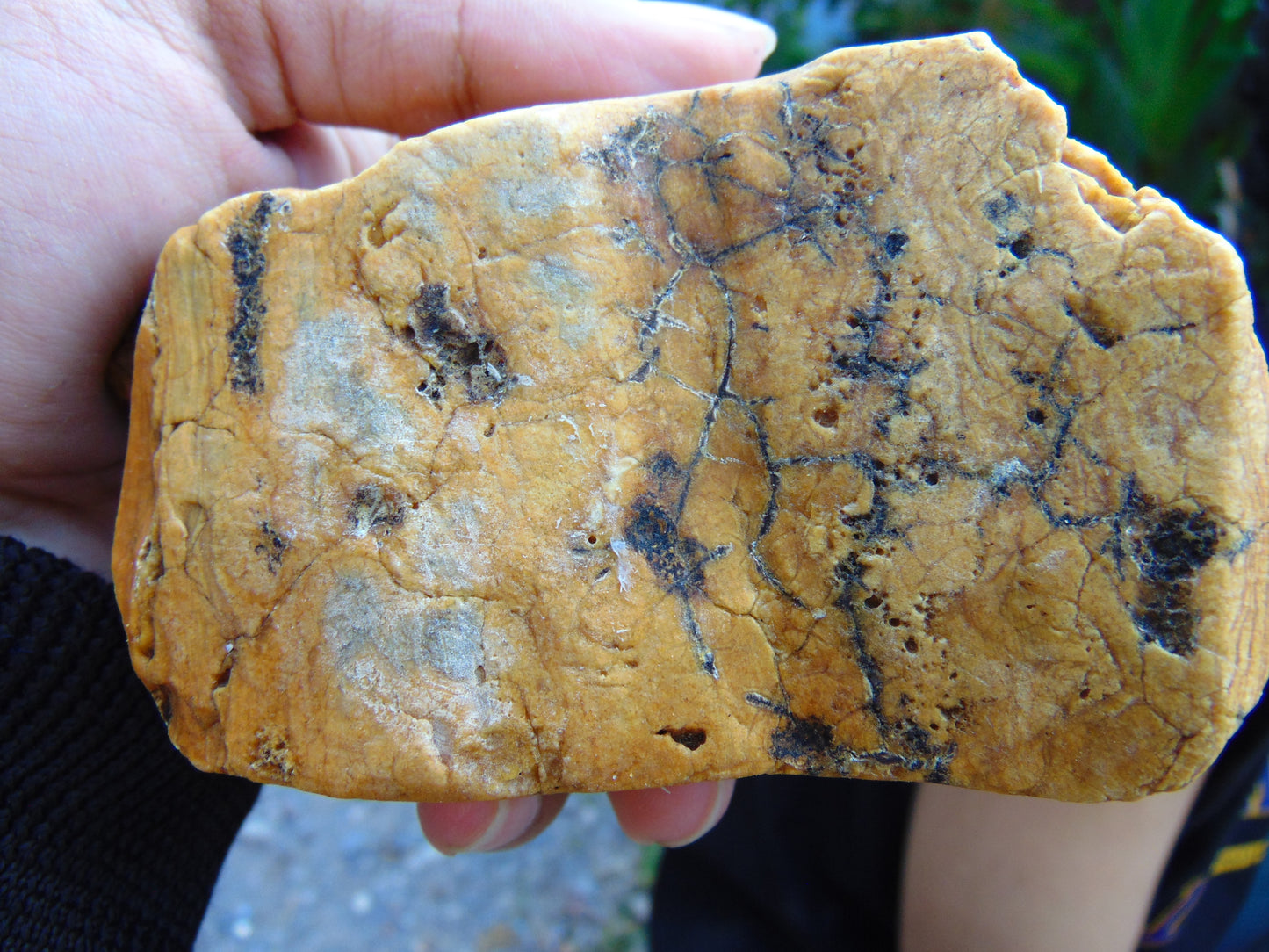 219 gram Polished Indonesia Yellow Aromatic Amber for Healing 26AYE45