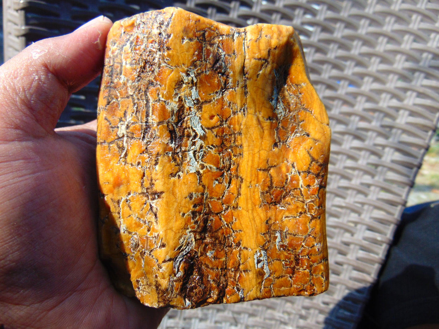 231 gram Polished Indonesia Yellow Aromatic Amber for Healing 26AYE6