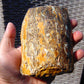 231 gram Polished Indonesia Yellow Aromatic Amber for Healing 26AYE6