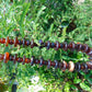 158 gram Small Beads Combination Necklace Indonesian Red Amber for Healing NK4