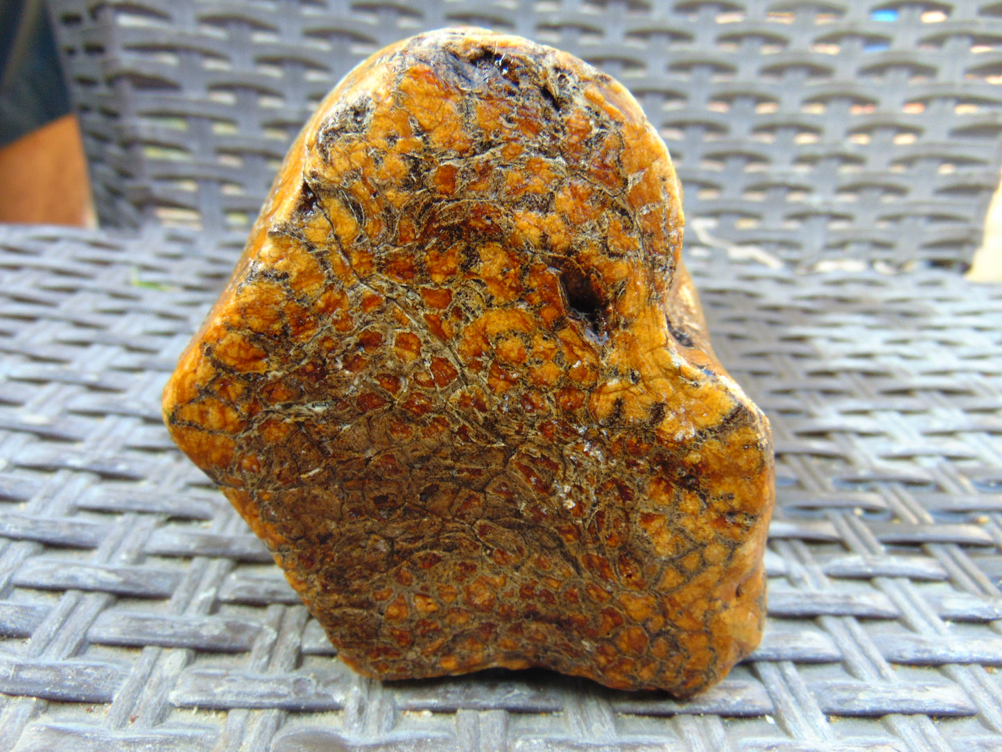 259 gram Polished Indonesia Yellow Aromatic Amber for Healing 26AYE4