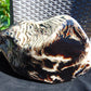 5696 gram Big Full Polished 24x16x9 cm Indonesia Black White Amber for Healing ML39