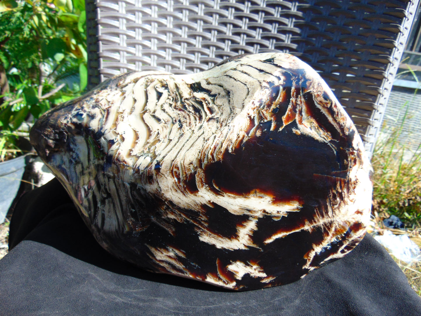 5696 gram Big Full Polished 24x16x9 cm Indonesia Black White Amber for Healing ML39