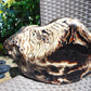 5696 gram Big Full Polished 24x16x9 cm Indonesia Black White Amber for Healing ML39
