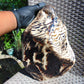5696 gram Big Full Polished 24x16x9 cm Indonesia Black White Amber for Healing ML39