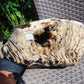 5696 gram Big Full Polished 24x16x9 cm Indonesia Black White Amber for Healing ML39