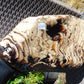 5696 gram Big Full Polished 24x16x9 cm Indonesia Black White Amber for Healing ML39
