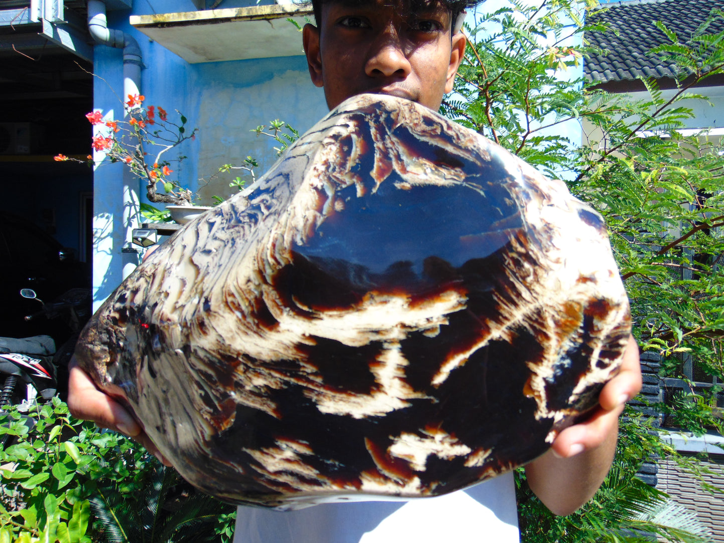 5696 gram Big Full Polished 24x16x9 cm Indonesia Black White Amber for Healing ML39