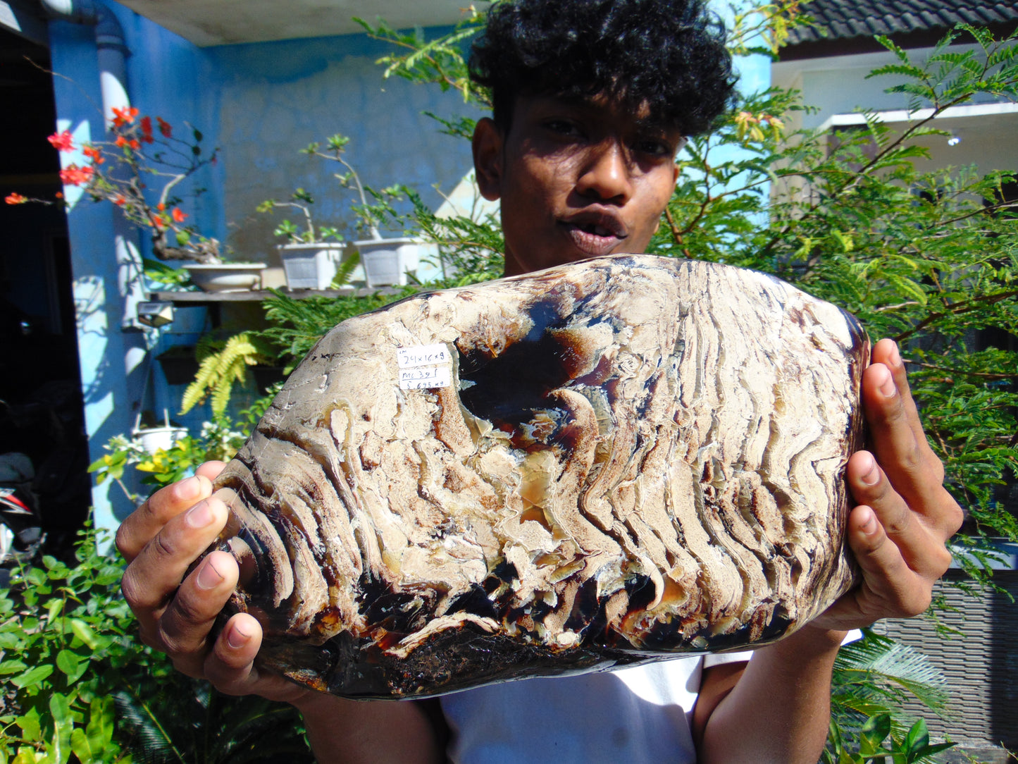 5696 gram Big Full Polished 24x16x9 cm Indonesia Black White Amber for Healing ML39