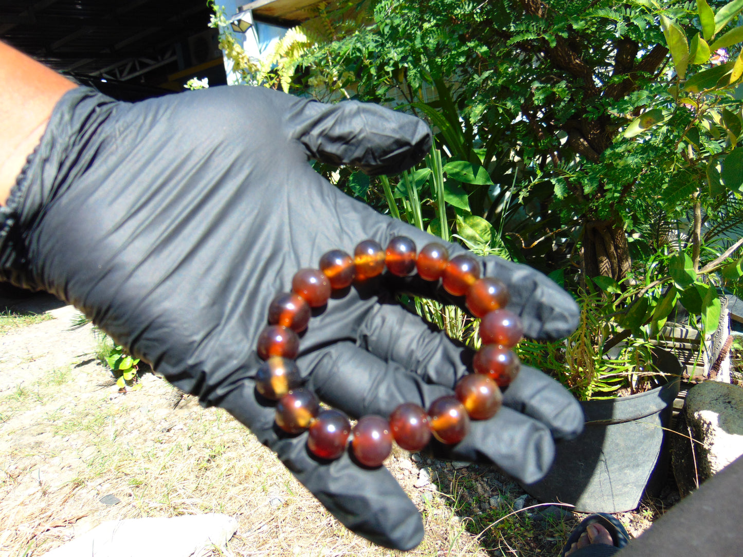 18 Gram 18 small Beads Bracelet Indonesian Honey Amber for Healing SB37