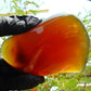 148 gram Full polished Indonesian Purple Amber for Healing AR118