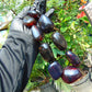 267 gr 9 beads Big Necklace Indonesian dark blue Amber for Healing A9K15