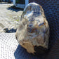 4795 gram Big Polished 150x200x80 mm Indonesia Zebra White Amber for Healing ML44