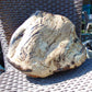 4795 gram Big Polished 150x200x80 mm Indonesia Zebra White Amber for Healing ML44