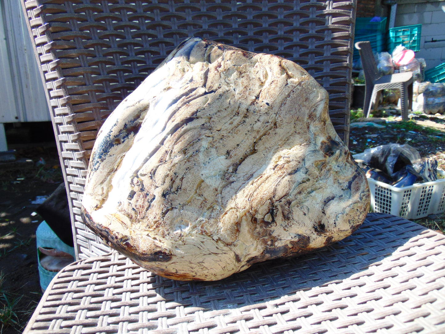 4795 gram Big Polished 150x200x80 mm Indonesia Zebra White Amber for Healing ML44