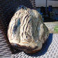 4795 gram Big Polished 150x200x80 mm Indonesia Zebra White Amber for Healing ML44