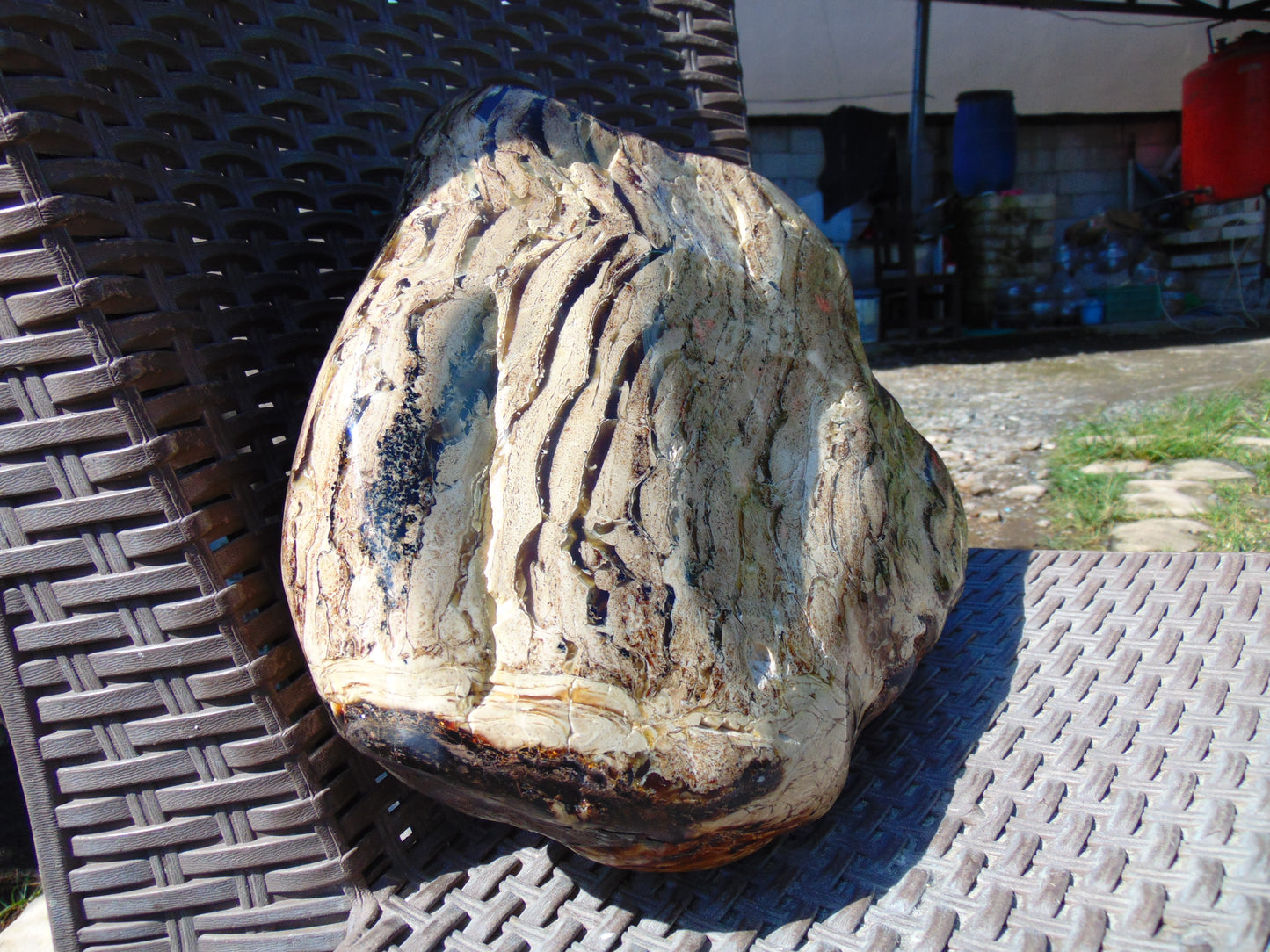4795 gram Big Polished 150x200x80 mm Indonesia Zebra White Amber for Healing ML44