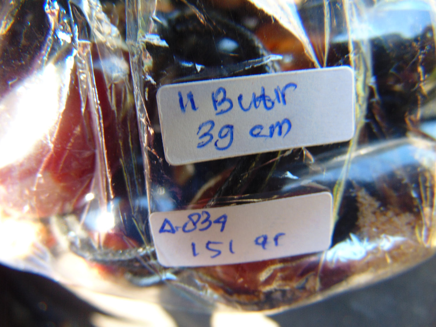 151 gr Big Necklace Indonesian dark blue Amber for Healing A834