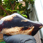 1030 gr Full Polished Indonesian Dark Red Blue Amber for Healing AR209