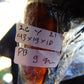 9 gram Pendant Indonesian Red Amber for Healing 26Y21