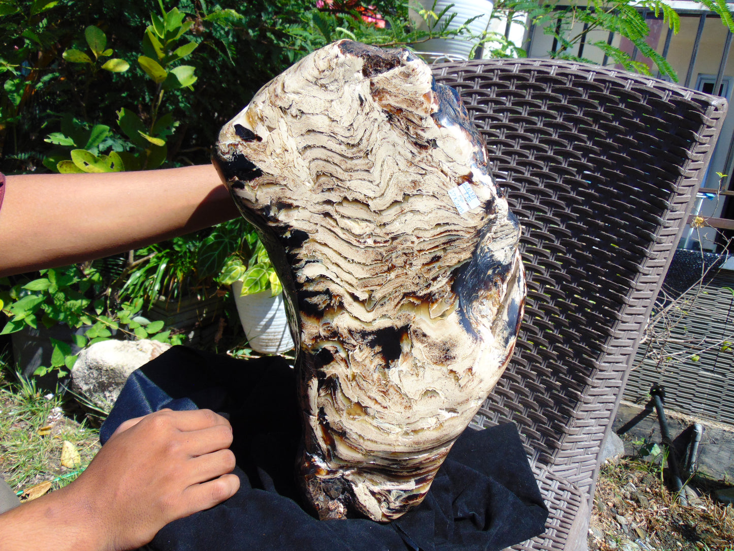 8600 gram Big Polished 270x200x120 mm Indonesia Zebra White Amber for Healing 26ML38