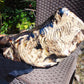 8600 gram Big Polished 270x200x120 mm Indonesia Zebra White Amber for Healing 26ML38