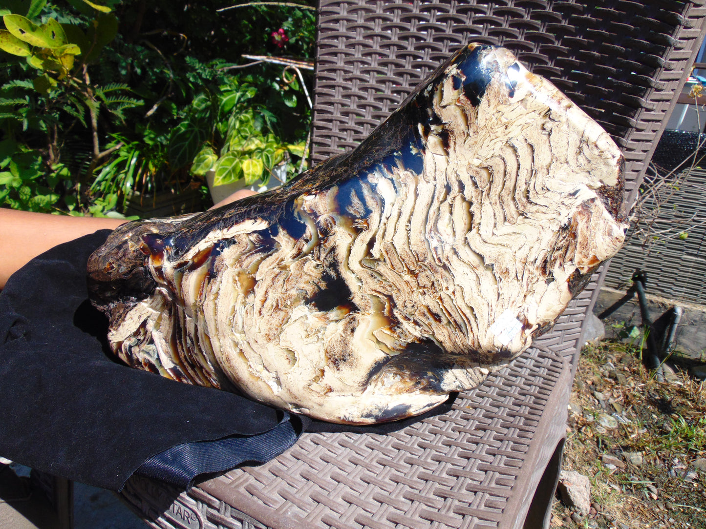 8600 gram Big Polished 270x200x120 mm Indonesia Zebra White Amber for Healing 26ML38