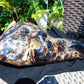 4670 gram Big Polished 310x210x140 mm Indonesia Dark Blue Amber for Healing EU03