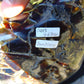 4670 gram Big Polished 310x210x140 mm Indonesia Dark Blue Amber for Healing EU03