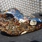 1329 gr Full Polished Indonesian Root Amber for Healing AR123