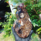 1329 gr Full Polished Indonesian Root Amber for Healing AR123