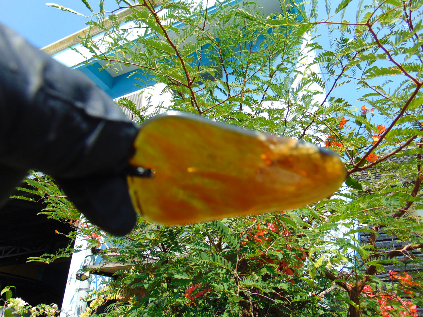9.53 gr  Pendant Indonesian Amber for Healing N36