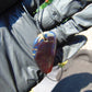 6 gr Pendant Indonesian Blue Amber for Healing P517