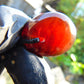 3 gram Pendant Indonesian Red Amber for Healing 25A166