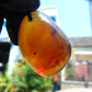 11 gr  Pendant Indonesian Blue Amber for Healing P271