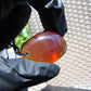 11 gr  Pendant Indonesian Blue Amber for Healing P271