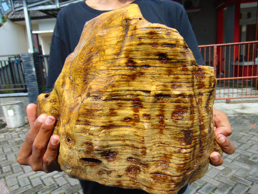 11555 gr Big Polished Indonesia Yellow  Aromatic Perfumed Amber for Healing ML103