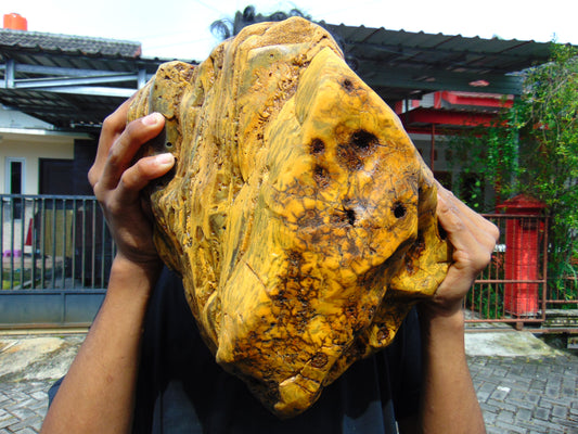 11555 gr Big Rough Polished Indonesia Aromatic Perfumed Yellow Amber for Healing ML103