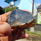 37 gram Rough Raw Indonesian Blue Amber for Healing 26MRB7