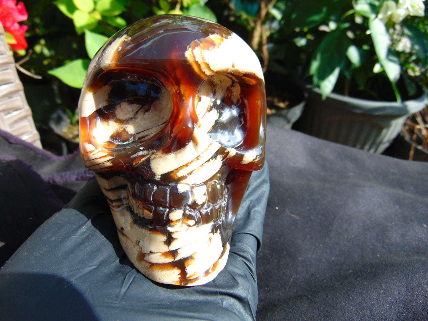 292 grams Skull Carving Indonesian Red White Zebra Amber for healing 96x73 mm AJT102