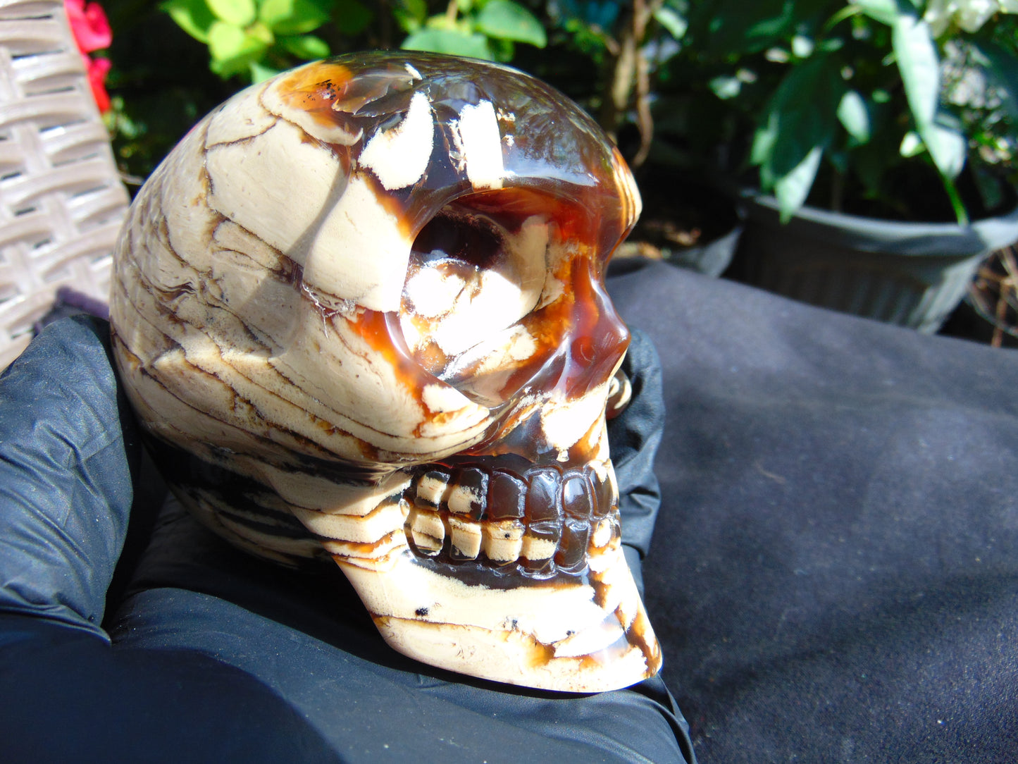 292 grams Skull Carving Indonesian Red White Zebra Amber for healing 96x73 mm AJT102