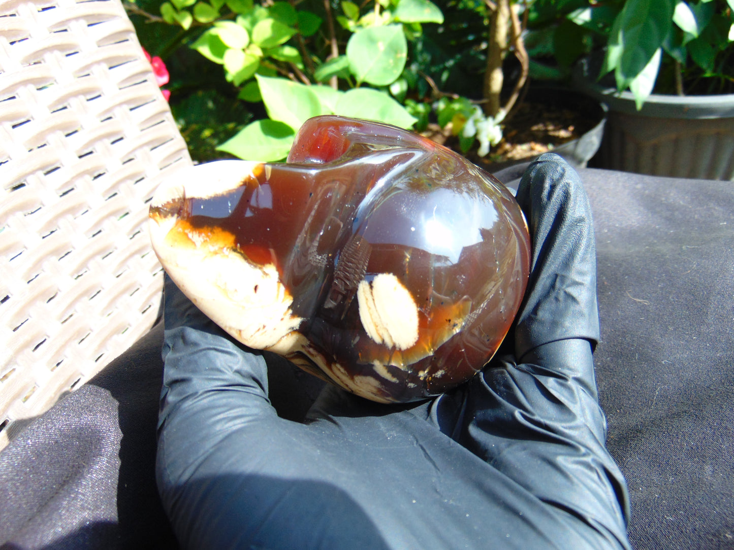 292 grams Skull Carving Indonesian Red White Zebra Amber for healing 96x73 mm AJT102