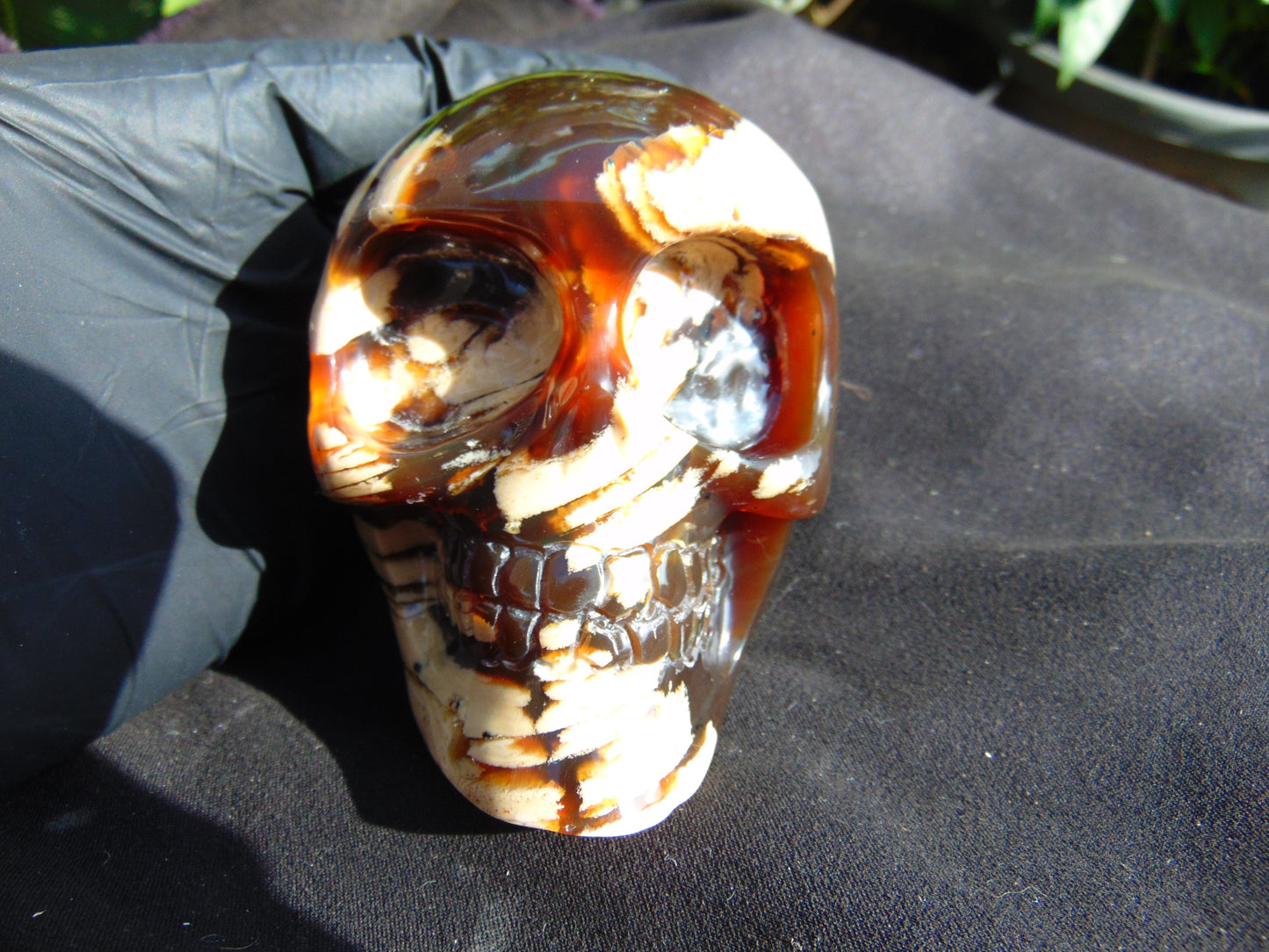 292 grams Skull Carving Indonesian Red White Zebra Amber for healing 96x73 mm AJT102