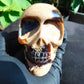 325 grams Skull Carving Indonesian Sumatran Blue White Amber for healing  94x68 mm AJT101