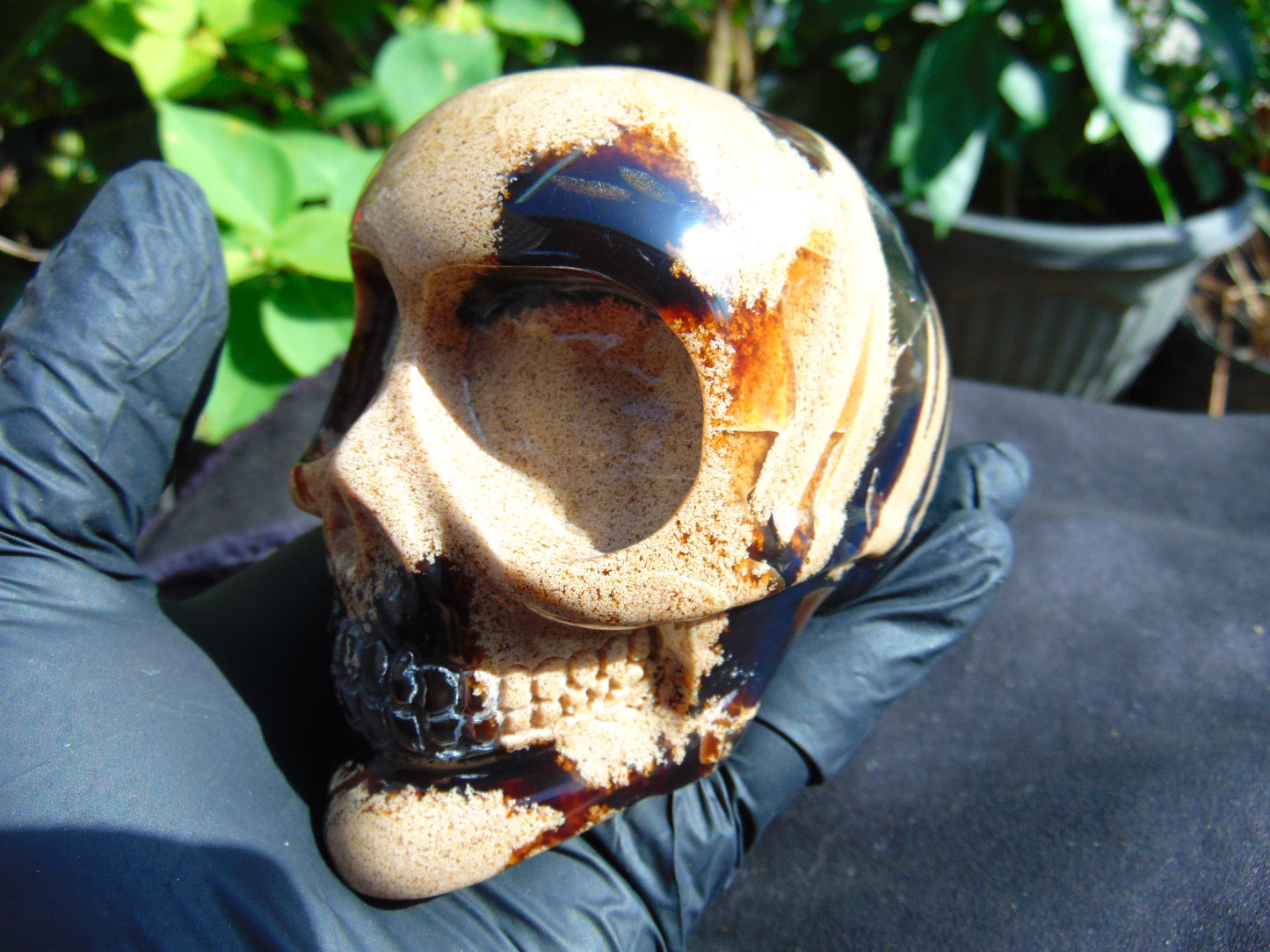 325 grams Skull Carving Indonesian Sumatran Blue White Amber for healing  94x68 mm AJT101