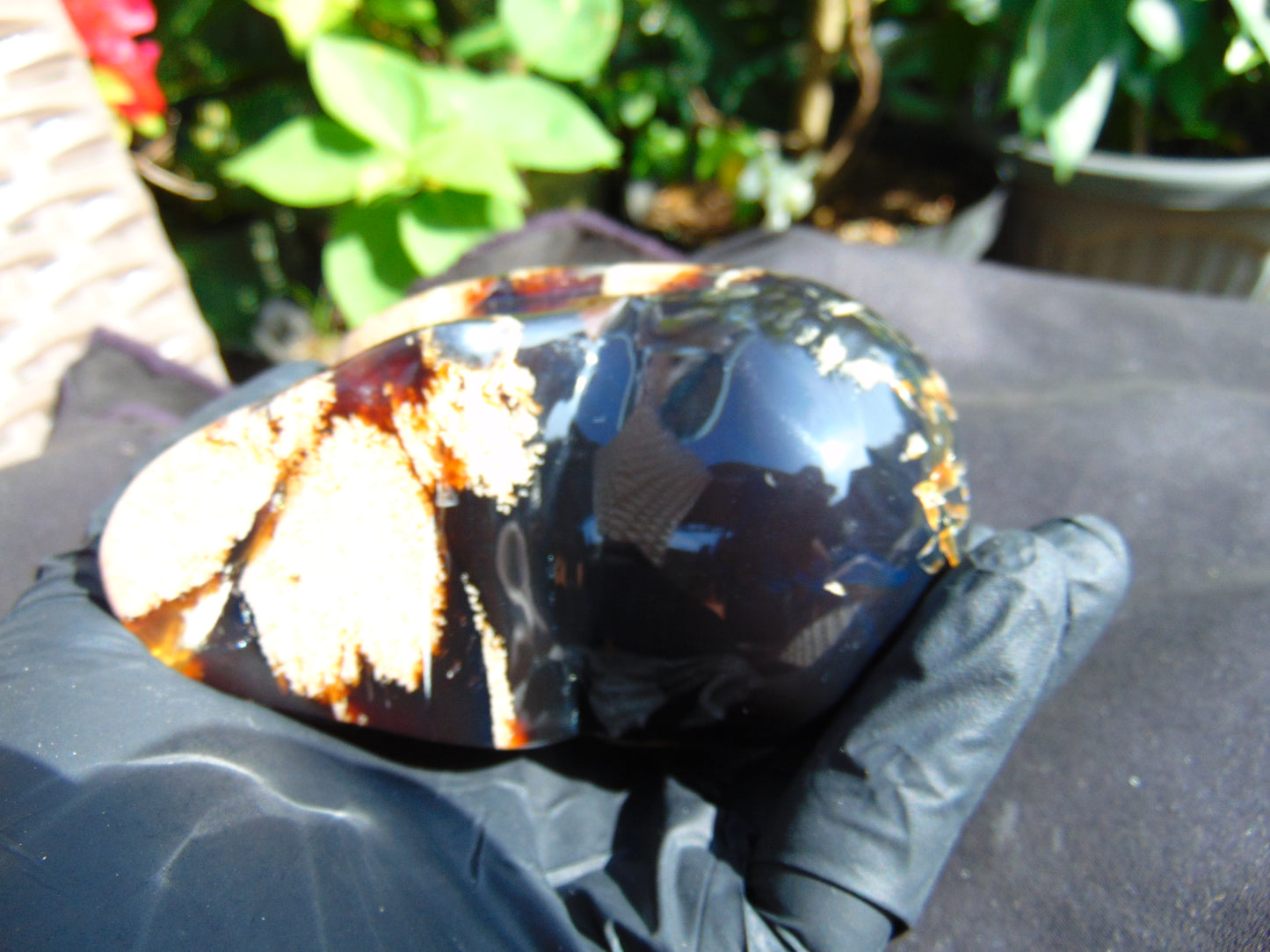 325 grams Skull Carving Indonesian Sumatran Blue White Amber for healing  94x68 mm AJT101