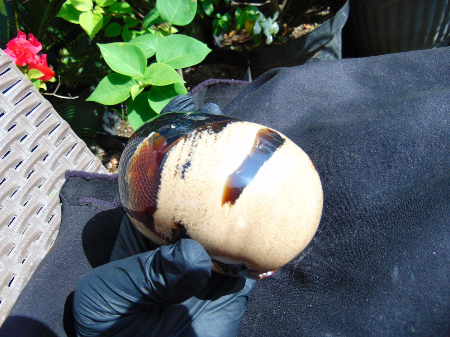 325 grams Skull Carving Indonesian Sumatran Blue White Amber for healing  94x68 mm AJT101