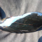 604 gr Sleep Buddha under bodhi tree 220x100x50 mm Indonesia Black Amber